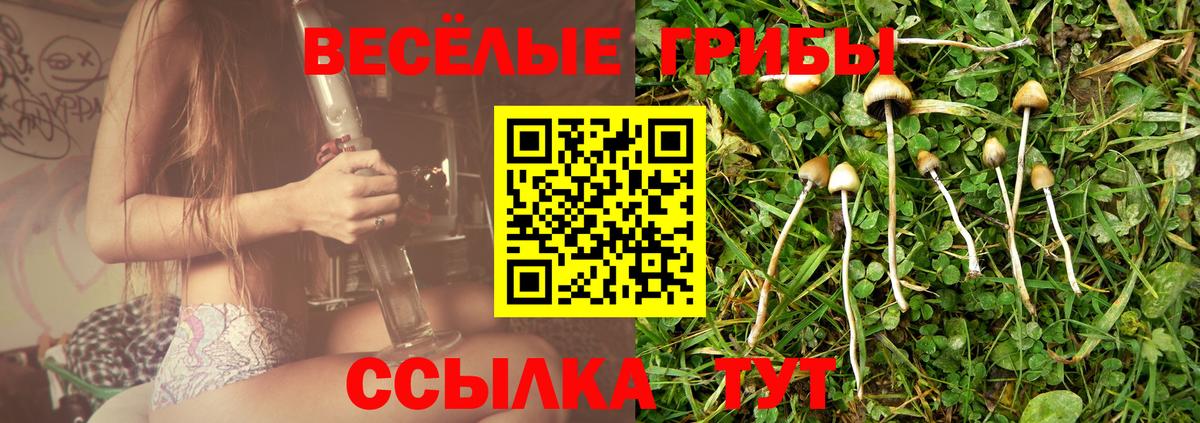 Галлюциногенные грибы Cubensis Железногорск