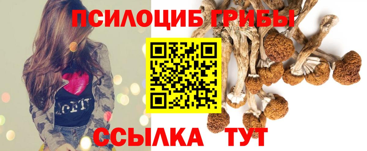 Псилоцибиновые грибы Cubensis  Вход с VPN  Псилоцибиновые грибы Magic Shrooms  Железногорск 